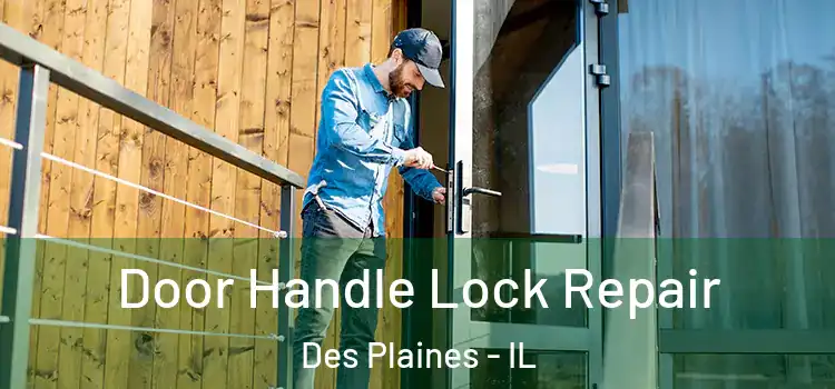 Door Handle Lock Repair Des Plaines - IL