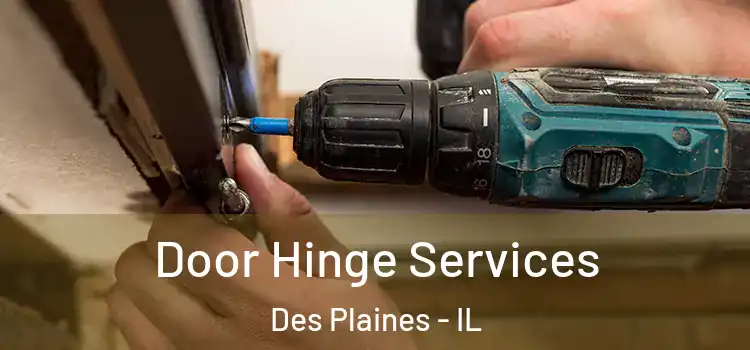 Door Hinge Services Des Plaines - IL