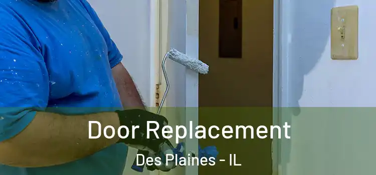 Door Replacement Des Plaines - IL