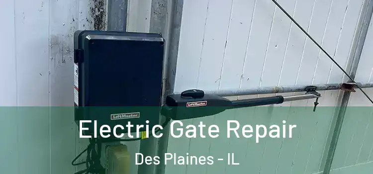 Electric Gate Repair Des Plaines - IL