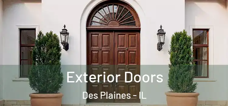 Exterior Doors Des Plaines - IL