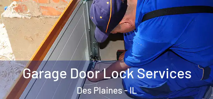 Garage Door Lock Services Des Plaines - IL