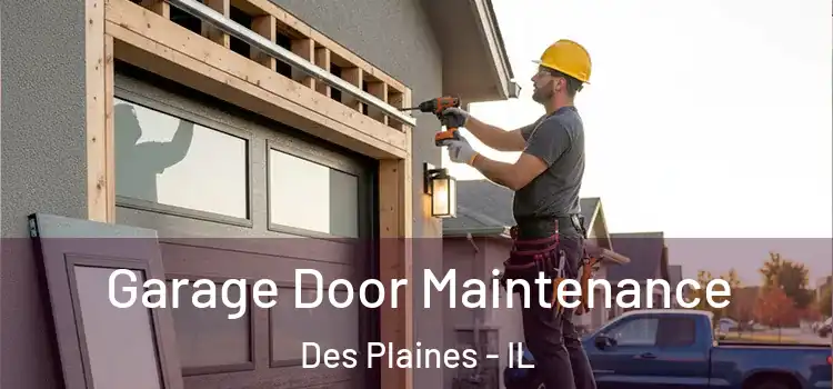 Garage Door Maintenance Des Plaines - IL