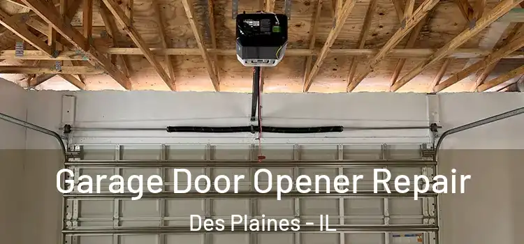  Garage Door Opener Repair Des Plaines - IL