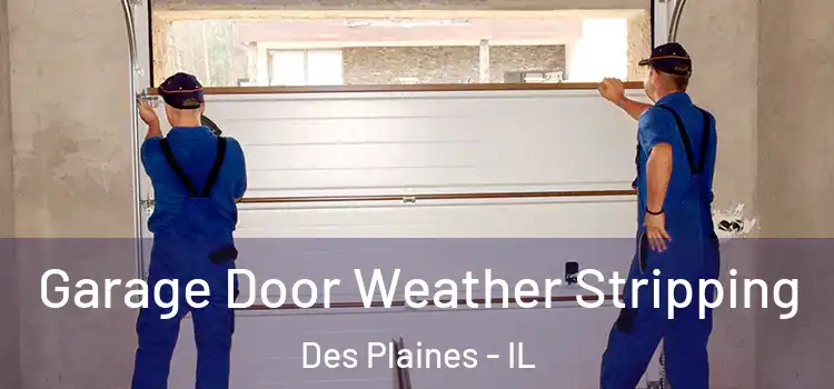  Garage Door Weather Stripping Des Plaines - IL