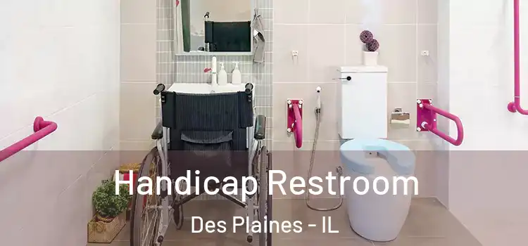 Handicap Restroom Des Plaines - IL
