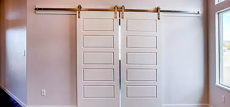 Glass Barn Door with Installation Hardware Kit Des Plaines