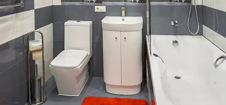 Hansgrohe Shaving Mirror Des Plaines