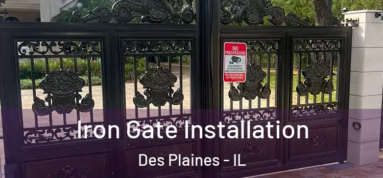 Iron Gate Installation Des Plaines - IL
