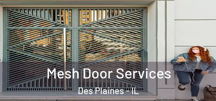 Mesh Door Services Des Plaines - IL