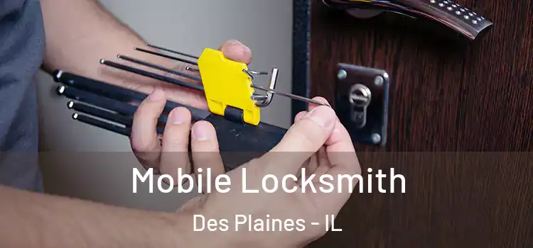 Mobile Locksmith Des Plaines - IL