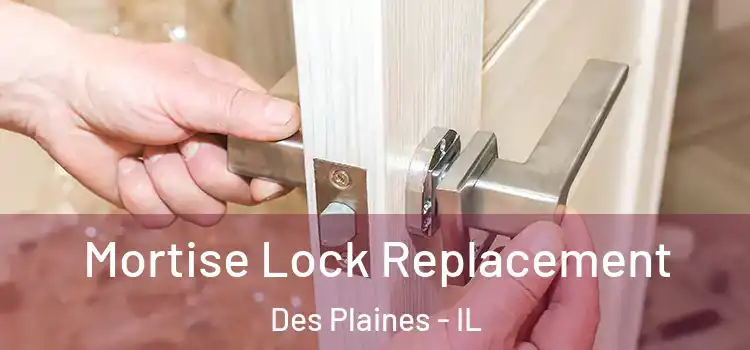Mortise Lock Replacement Des Plaines - IL