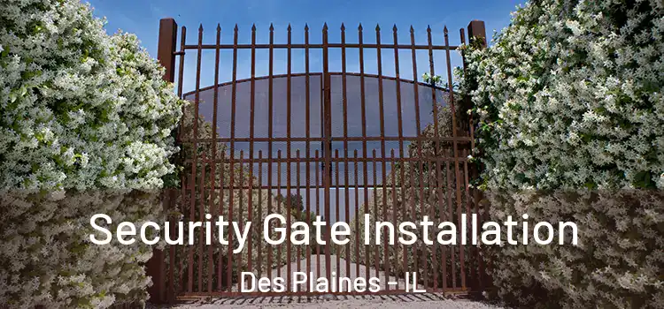 Security Gate Installation Des Plaines - IL