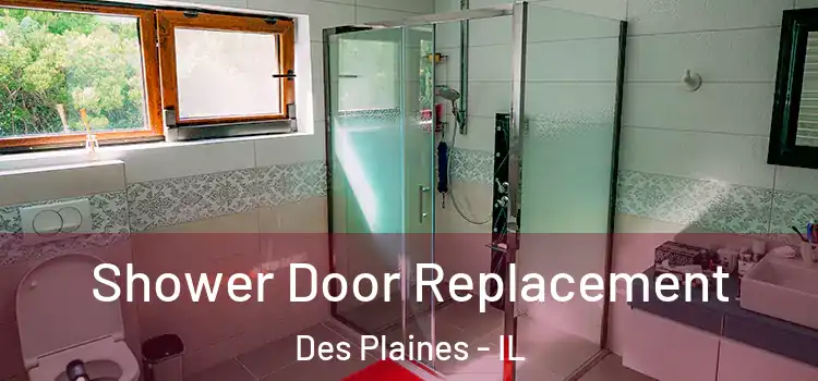 Shower Door Replacement Des Plaines - IL