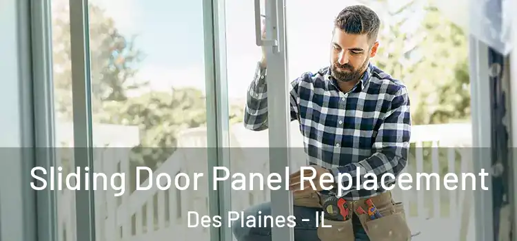  Sliding Door Panel Replacement Des Plaines - IL