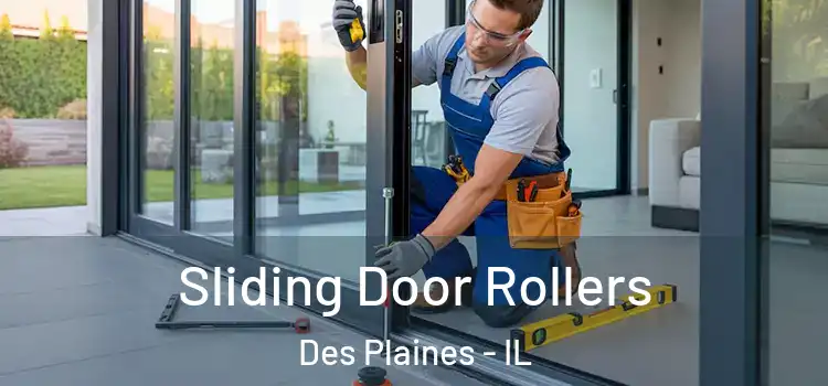 Sliding Door Rollers Des Plaines - IL