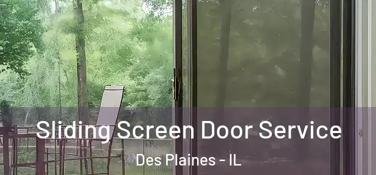 Sliding Screen Door Service Des Plaines - IL